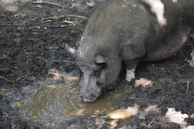 背后的原因 背后的原因