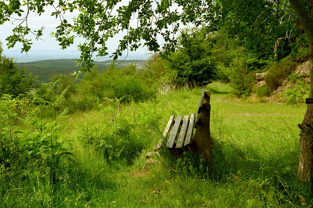 续攀登胜利 续攀登胜利