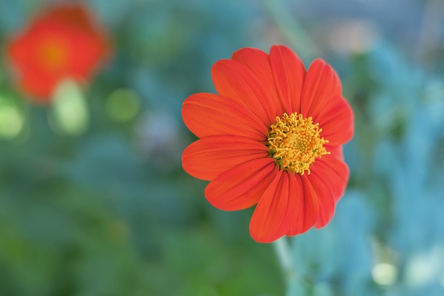 性和观赏性 性和观赏性